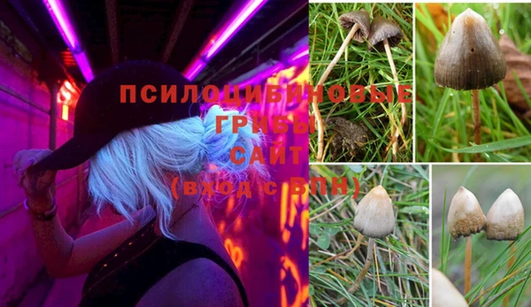наркотики Дмитриев