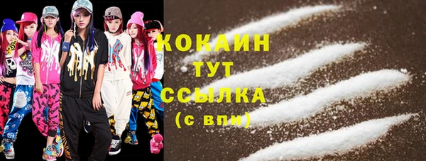 дурь Ельня